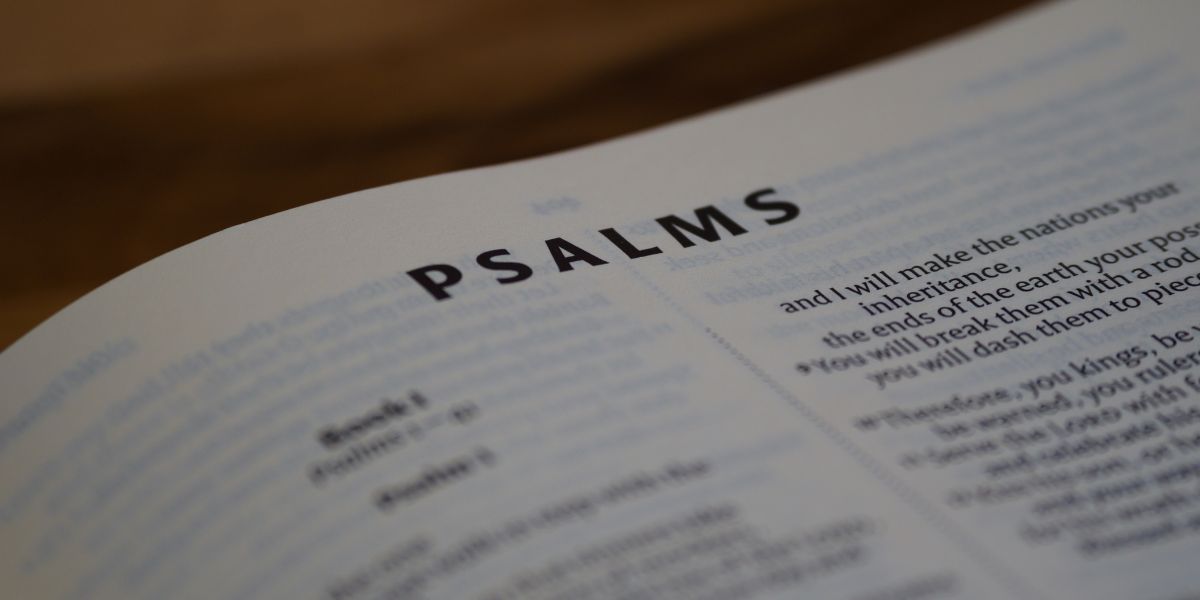 I Shall Not Want: Thoughts on Psalm 23